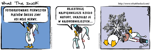 What the Duck (PL) (�r�d�o: fotopolis.pl)