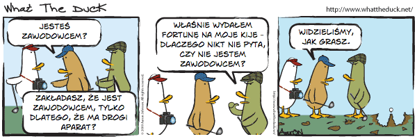 What the Duck (PL) (�r�d�o: fotopolis.pl)